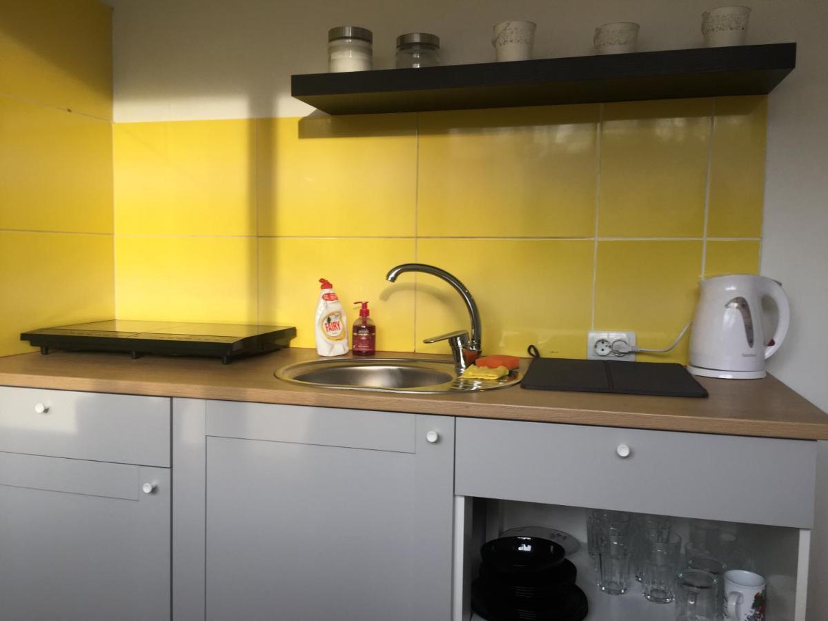 Apartamenti Zirnis Cēsis Εξωτερικό φωτογραφία